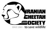 Help Save Cheetahs